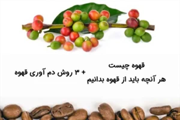 Everything we need to know about coffee
