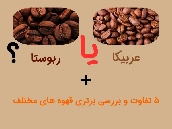 عربیکا یا ربوستا؟ 5 تفاوت و بررسی برتری قهوه های مختلف