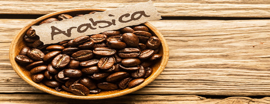 قهوه عربیکا چیست