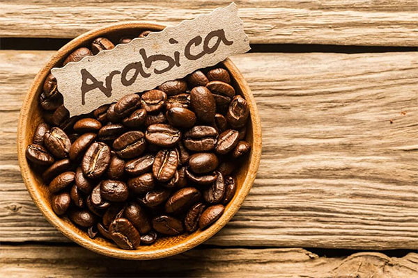 قهوه عربیکا چیست